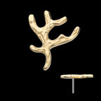 Coral Branch Flatback Stud Earring / Nosering - 14Kt Yellow Gold