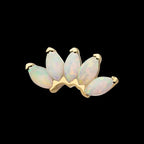 Fan Shape with 5-Cluster Marquise Prong Opal Flatback Stud Earring / Nosering - Opal in 14Kt Gold