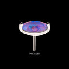 Prong Set Marquise Opal Flatback Stud Earring / Nosering - Opal in 14Kt White Gold