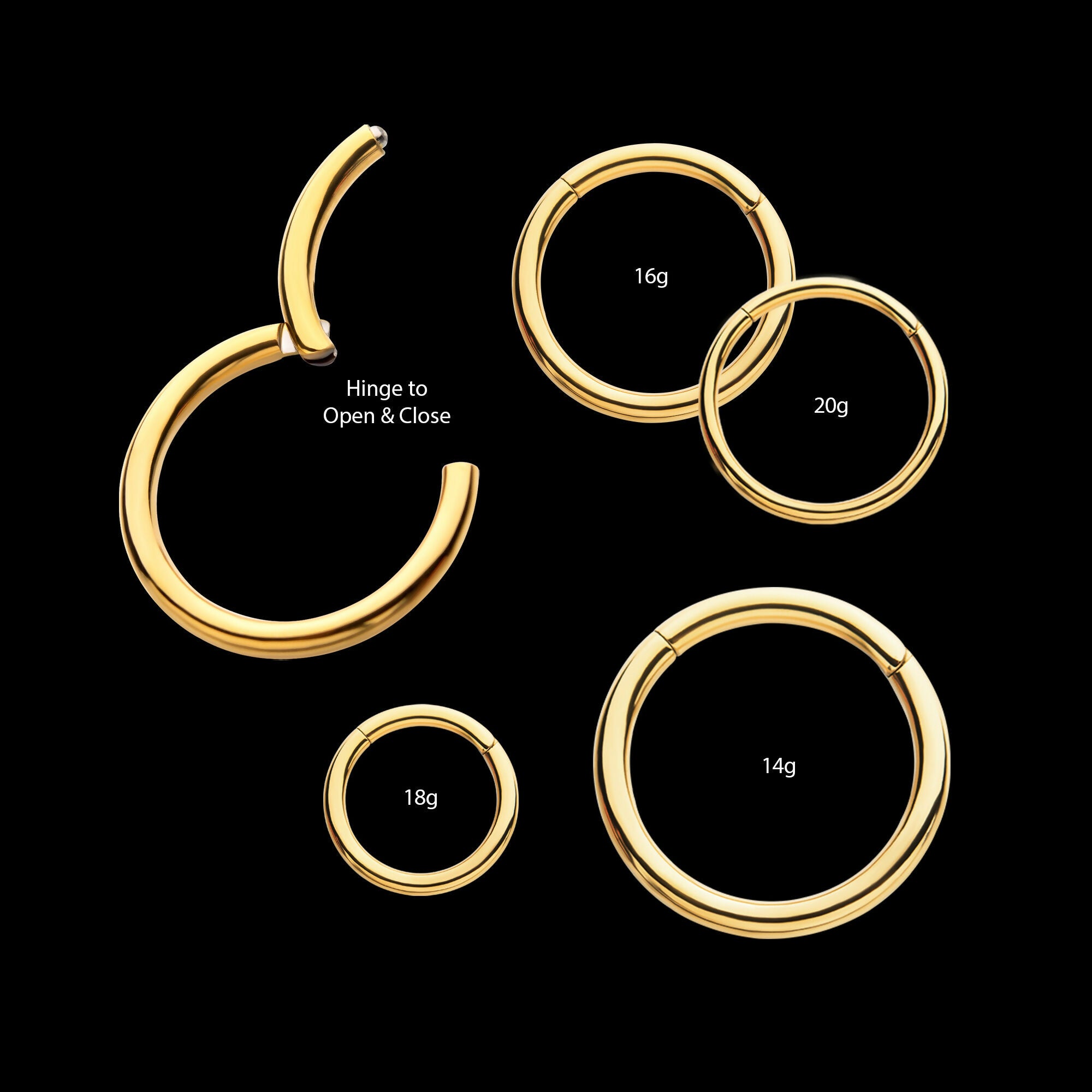 24KT Gold PVD Titanium Hinged Segment Clicker (20g to 14g) Hoop Earring / Nosering