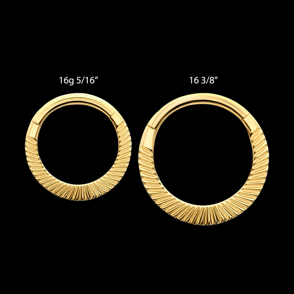 24Kt Gold PVD Titanium Radiant Round Hoop Front Facing Hinged Segment Clicker Earring / Nosering