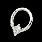 Clustered Prong Set Round CZ with Center Princess Gem Front Facing Hinged Segment Clicker Hoop Earring / Nosering – Titanium