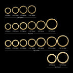 24KT Gold PVD Titanium Hinged Segment Clicker (20g to 14g) Hoop Earring / Nosering