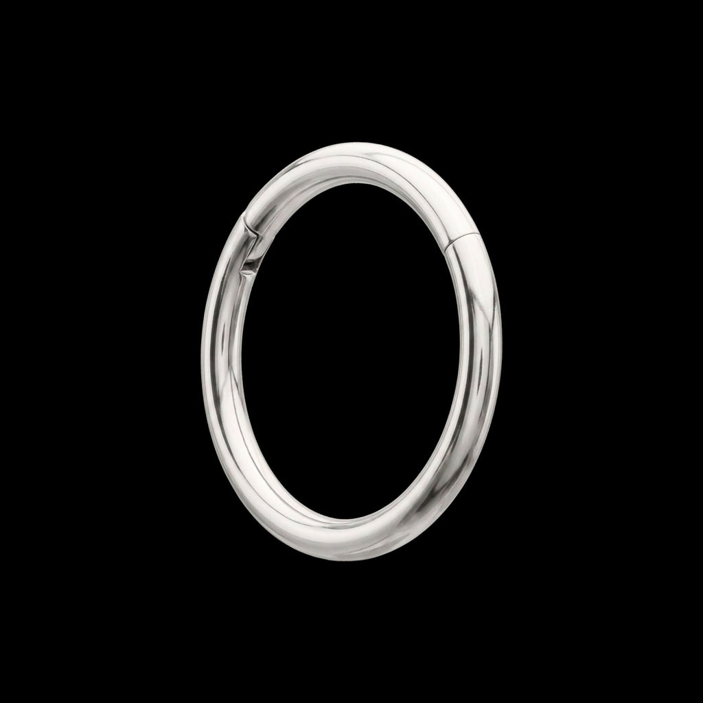 Platinum PVD Titanium Basic Hinged Segment Clicker Hoop Earring / Nosering
