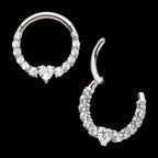 Clustered Prong Set Round CZ with Center Heart CZ Front Facing Hinged Segment Clicker Hoop Earring / Nosering – Titanium