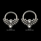 Bezel Set Swarovski Crystal Cluster Beads Front Facing Hinged Segment Clicker Hoop Earring / Nosering – Titanium