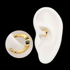 24Kt Gold PVD Titanium Radiant Hoop with Black Prong Set Gem Front Facing Hinged Segment Clicker Earring / Nosering