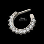 Titanium 12-Cluster CZ/Opal Septum Clickers