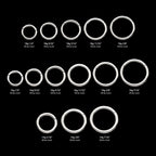 Basic Hinged Segment Clicker Hoop Earring / Nosering – 14Kt White Gold