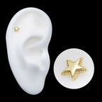 14Kt Yellow Gold Threadless Beaded Edge Star Top