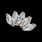 Titanium Threadless with Prong Set Marquise CZ 5-Cluster Top