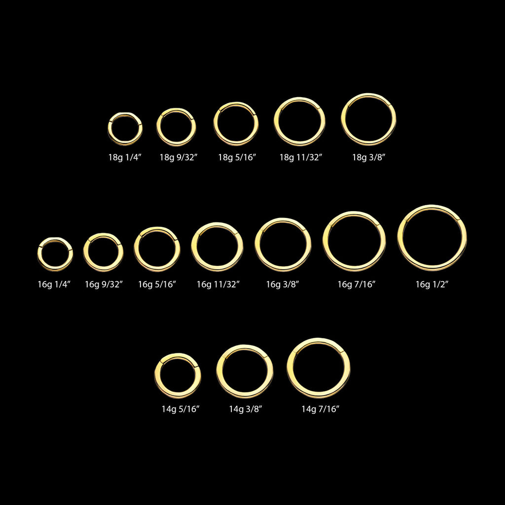 Basic Hinged Segment Clicker Hoop Earring / Nosering – 14Kt Yellow Gold