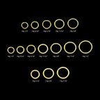 Basic Hinged Segment Clicker Hoop Earring / Nosering – 14Kt Yellow Gold