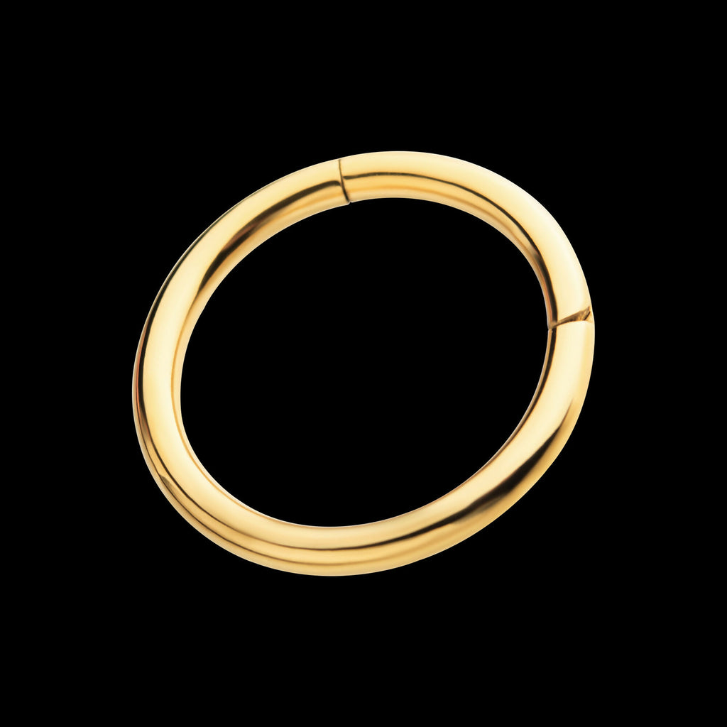 24KT Gold PVD Titanium Hinged Segment Clicker (12g to 8g) Hoop Earring / Nosering