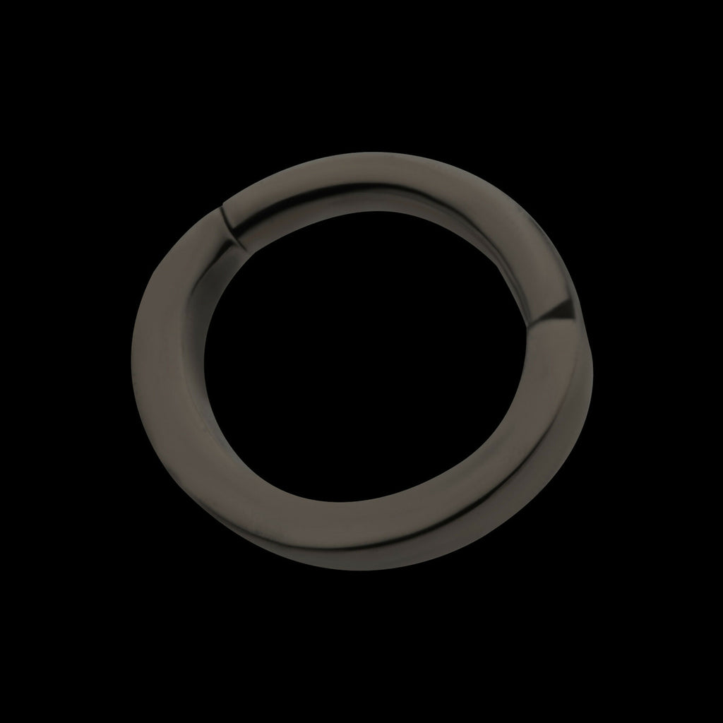 Black PVD Titanium Oval Shape Hinged Segment Clicker Hoop Earring / Nosering