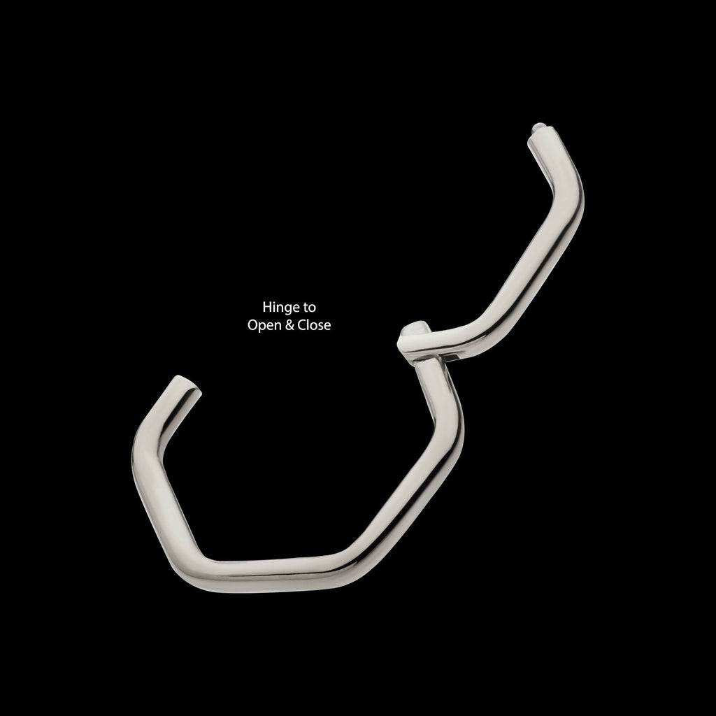 Hexagon Shape Titanium Front Facing Hinged Segment Clicker Hoop Earring / Nosering