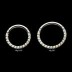 Titanium with Front Full Clear Eternity Gem Hinged Segment Clicker