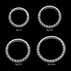 Titanium with Front Full Clear Eternity Gem Hinged Segment Clicker