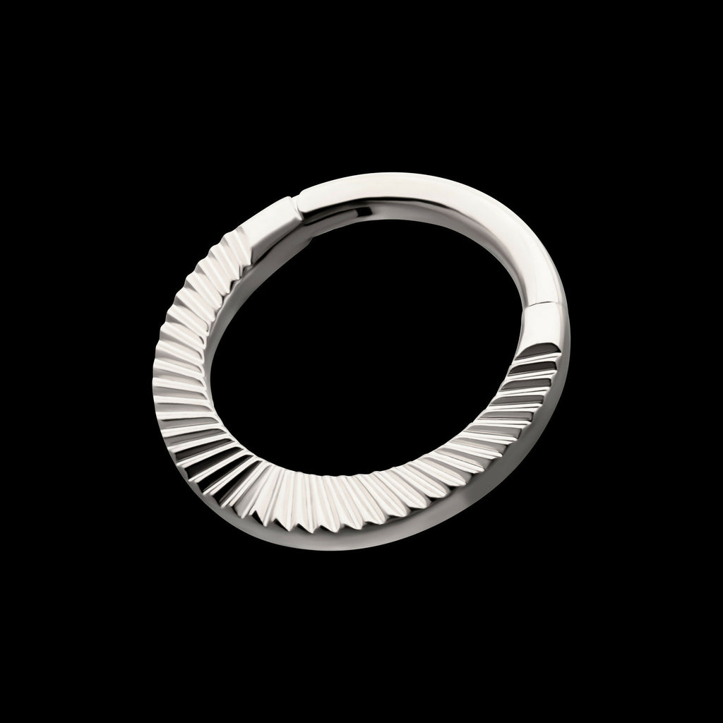 Radiant Hoop Front Facing Hinged Segment Clicker Earring / Nosering – Titanium
