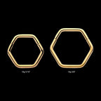 Hexagon Shape 24Kt Gold PVD Titanium Front Facing Hinged Segment Clicker Hoop Earring / Nosering