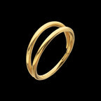 24Kt Gold PVD Titanium Double Hoop Side Facing Hinged Segment Clicker Earring / Nosering