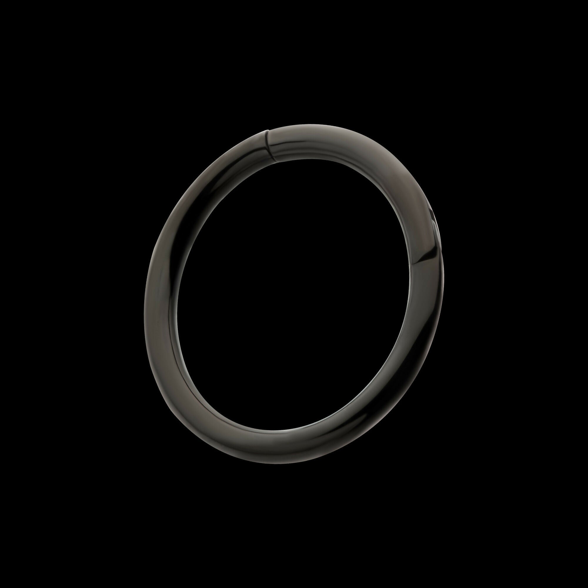 Black PVD Titanium Basic Hinged Segment Clicker Hoop Earring / Nosering