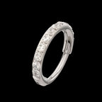 CNC Set Full Clear CZ Eternity Gem with Thicker Outer Hoop Side Facing Hinged Segment Clicker Earring / Nosering – Titanium