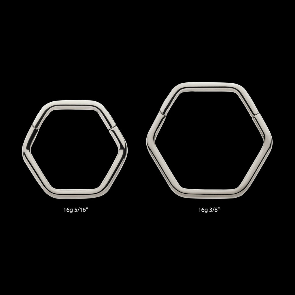Hexagon Shape Titanium Front Facing Hinged Segment Clicker Hoop Earring / Nosering