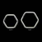 Hexagon Shape Titanium Front Facing Hinged Segment Clicker Hoop Earring / Nosering