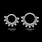 Titanium Clustered Beads with 7 Bezel Round CZ Front Facing Hinged Segment Clicker