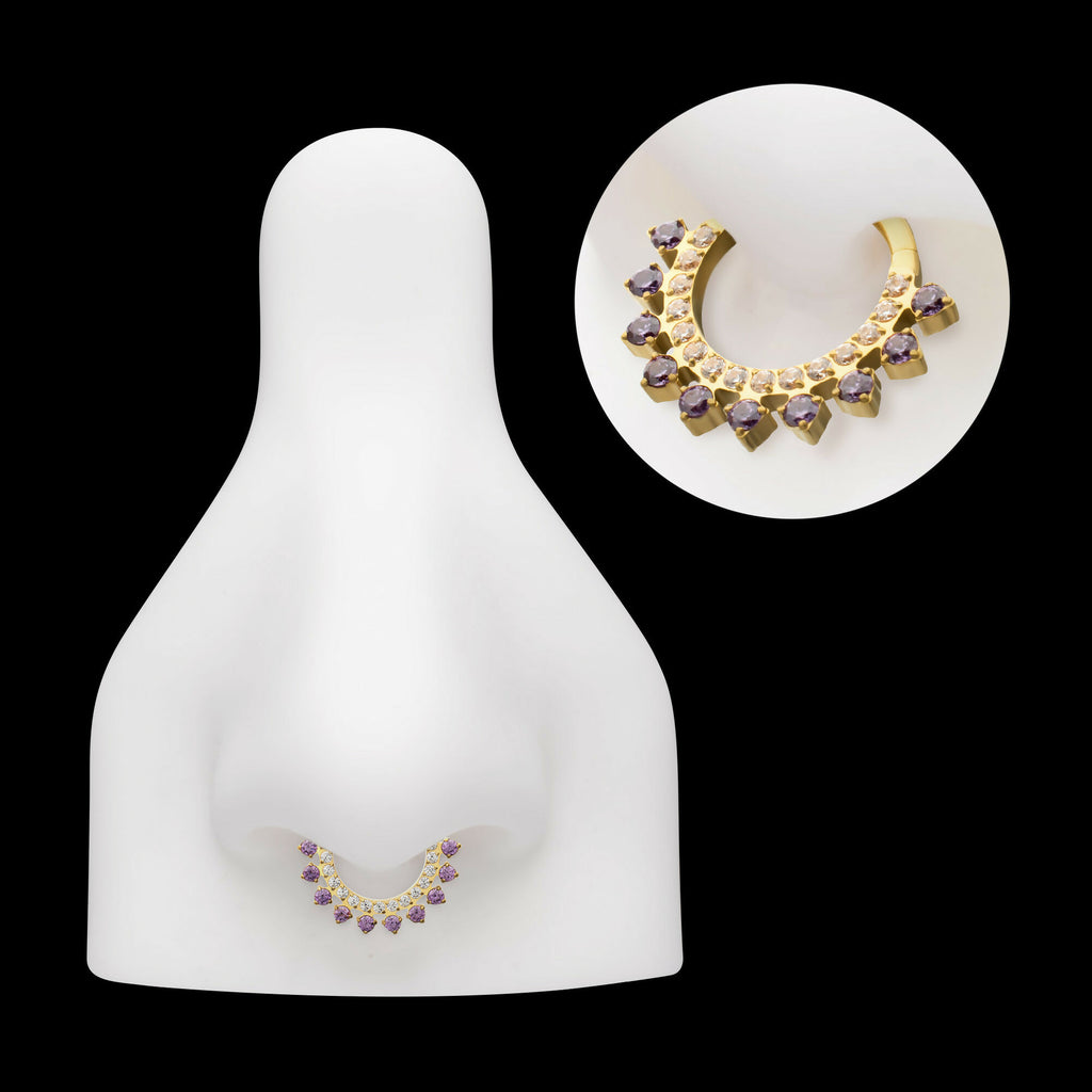 24Kt Gold PVD Titanium Double Row CZ Multi-Gem with Clear CNC Set Inner Gem Front Facing Hinged Segment Clicker Hoop Earring / Nosering