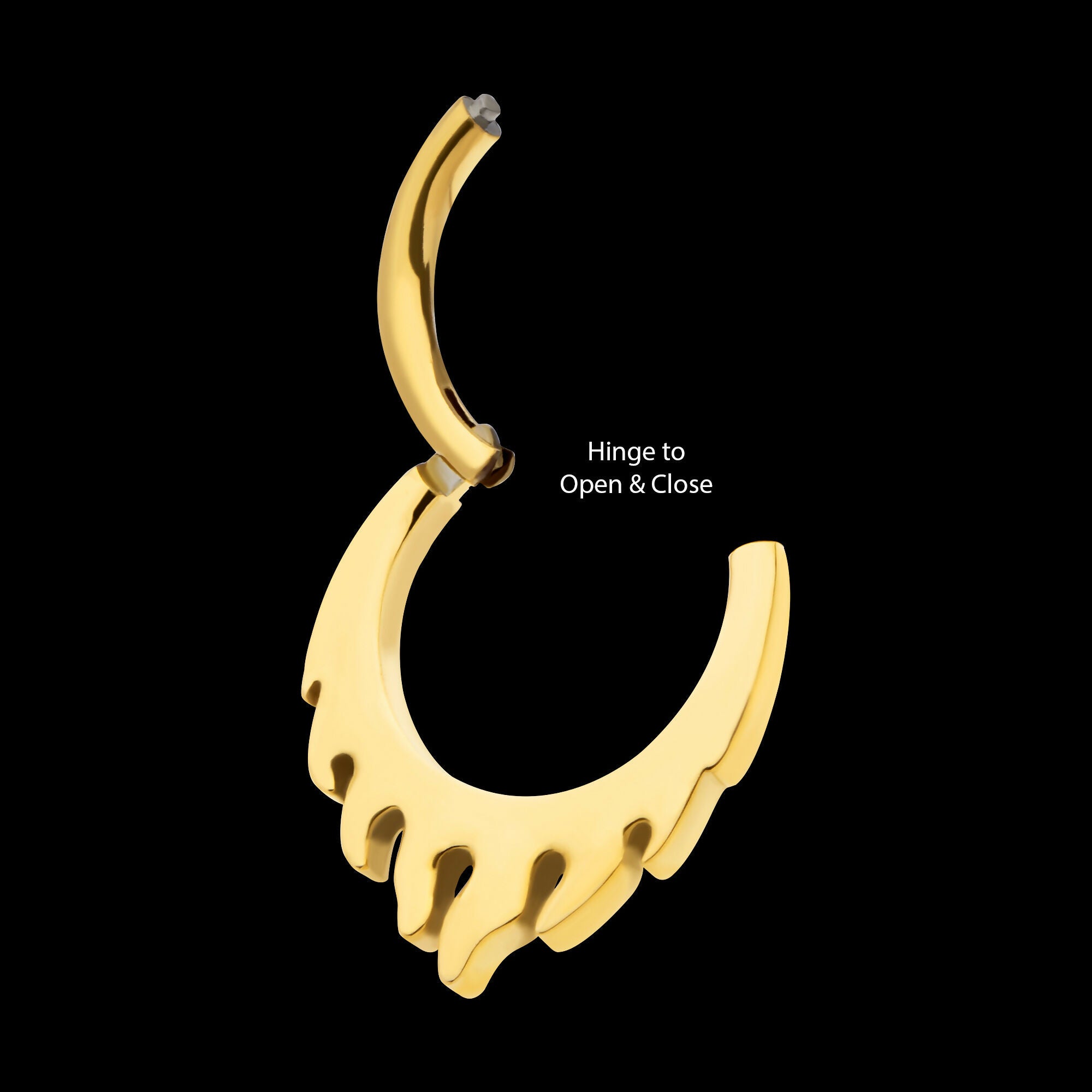 24Kt Gold PVD Titanium Flame Front Facing Hinged Segment Clicker Hoop Earring / Nosering