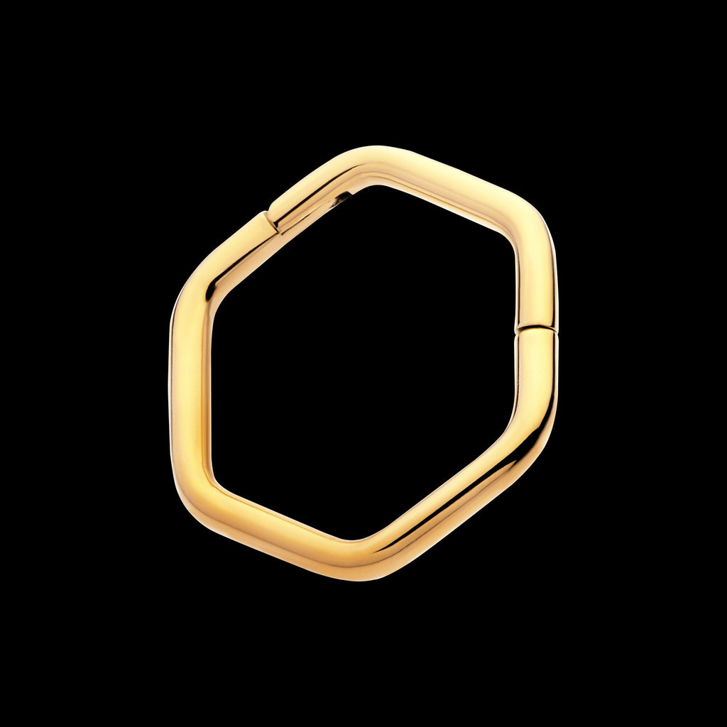 Hexagon Shape 24Kt Gold PVD Titanium Front Facing Hinged Segment Clicker Hoop Earring / Nosering