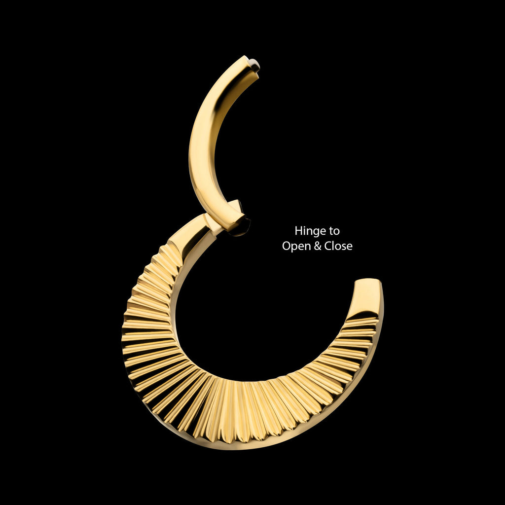 24Kt Gold PVD Titanium Radiant Wide Hoop Front Facing Hinged Segment Clicker Earring / Nosering