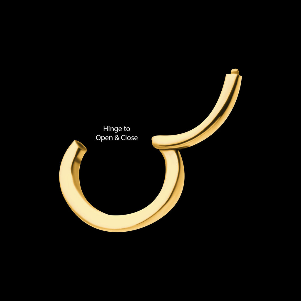 16g 24Kt Gold PVD Titanium Oval Shape Hinged Segment Clicker (for Rook Piercing) Hoop Earring / Nosering