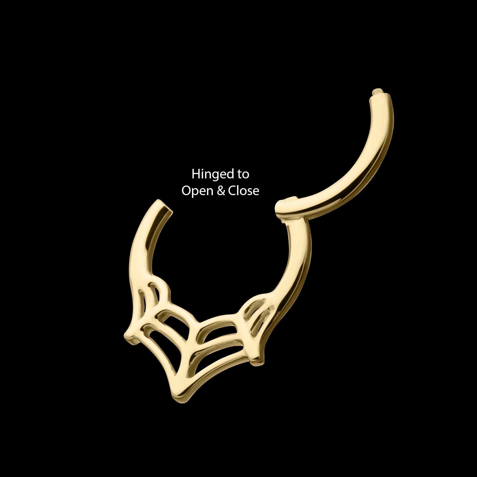 Spiderweb Front Facing Hinged Segment Clicker Hoop Earring / Nosering – 14Kt Gold