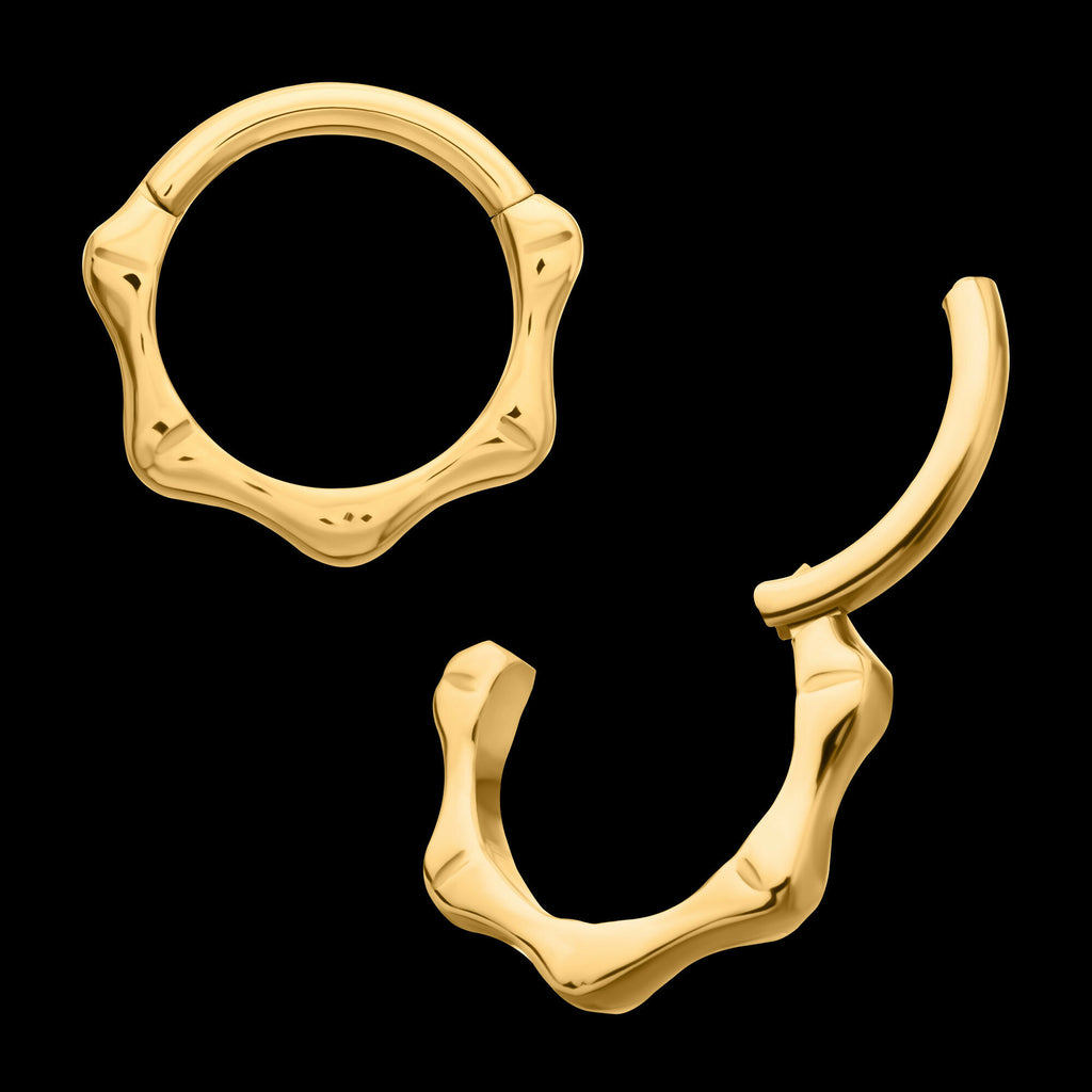 24KT Gold PVD Titanium Bone Shaped Front Facing Hinged Segment Clicker Hoop Earring / Nosering