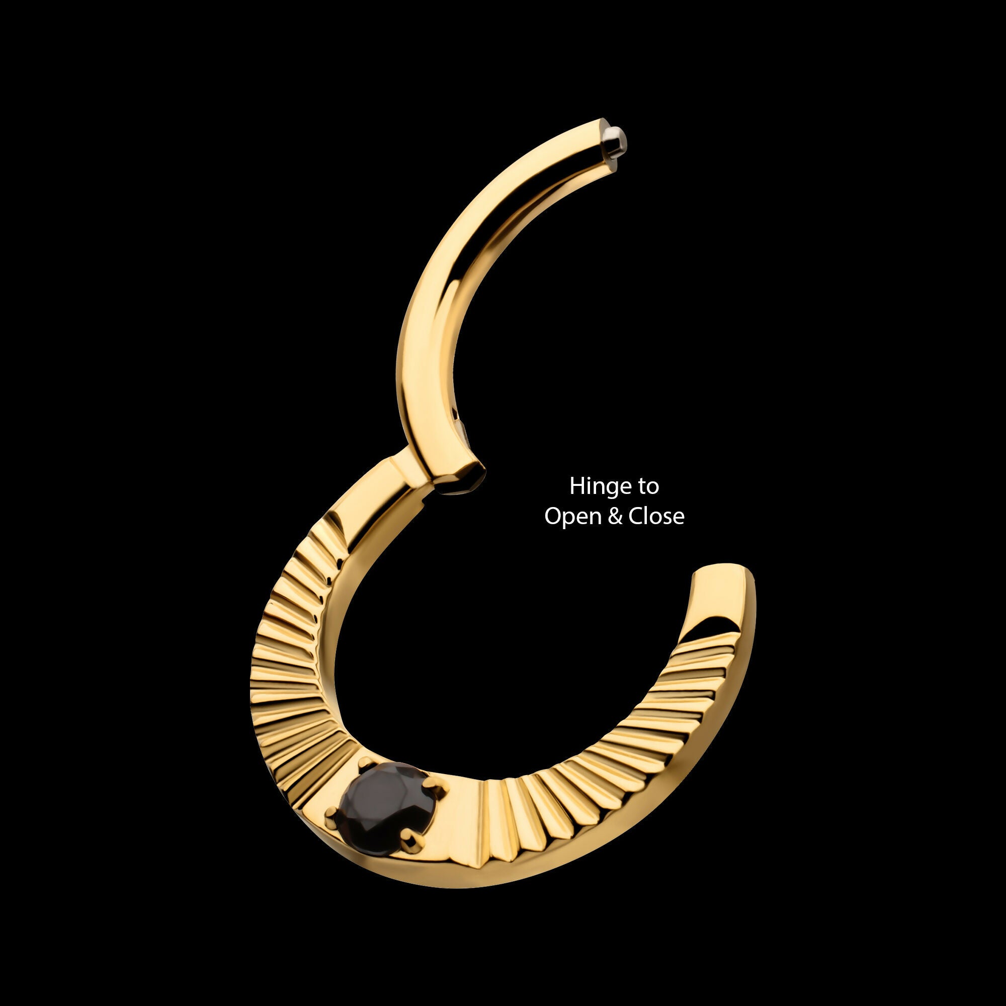 24Kt Gold PVD Titanium Radiant Hoop with Black Prong Set Gem Front Facing Hinged Segment Clicker Earring / Nosering