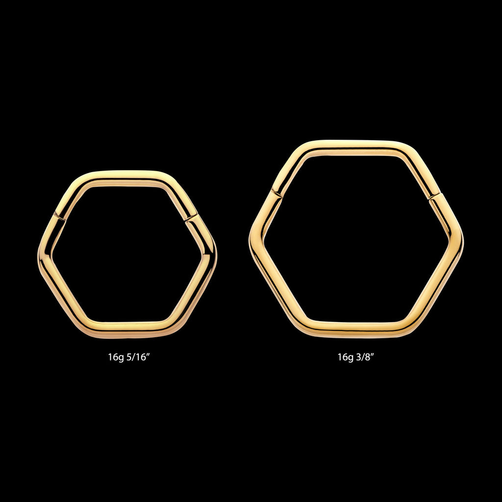 Hexagon Shape 24Kt Gold PVD Titanium Front Facing Hinged Segment Clicker Hoop Earring / Nosering