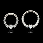 Clustered Prong Set Round CZ with Center Heart CZ Front Facing Hinged Segment Clicker Hoop Earring / Nosering – Titanium