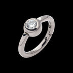 Bezel Set Round Gem Side Facing Hinged Segment Clicker Hoop Earring / Nosering – Titanium