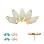 Fan Shape with 5-Cluster Marquise Prong Opal Flatback Stud Earring / Nosering - Opal in 14Kt Gold
