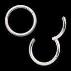 Platinum PVD Titanium Basic Hinged Segment Clicker Hoop Earring / Nosering