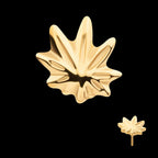 24Kt Gold PVD Titanium Threadless Pot Leaf Top