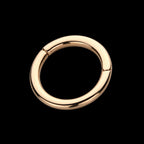 Basic Hinged Segment Clicker Hoop Earring / Nosering – 14Kt Rose Gold