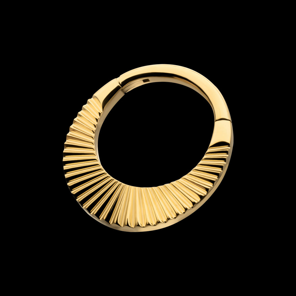 24Kt Gold PVD Titanium Radiant Wide Hoop Front Facing Hinged Segment Clicker Earring / Nosering