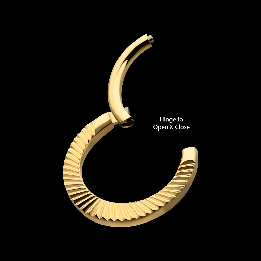 24Kt Gold PVD Titanium Radiant Round Hoop Front Facing Hinged Segment Clicker Earring / Nosering