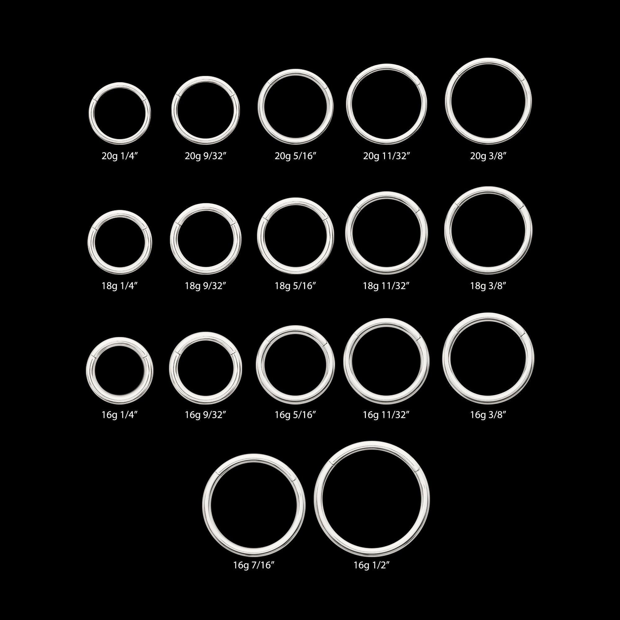 Platinum PVD Titanium Basic Hinged Segment Clicker Hoop Earring / Nosering