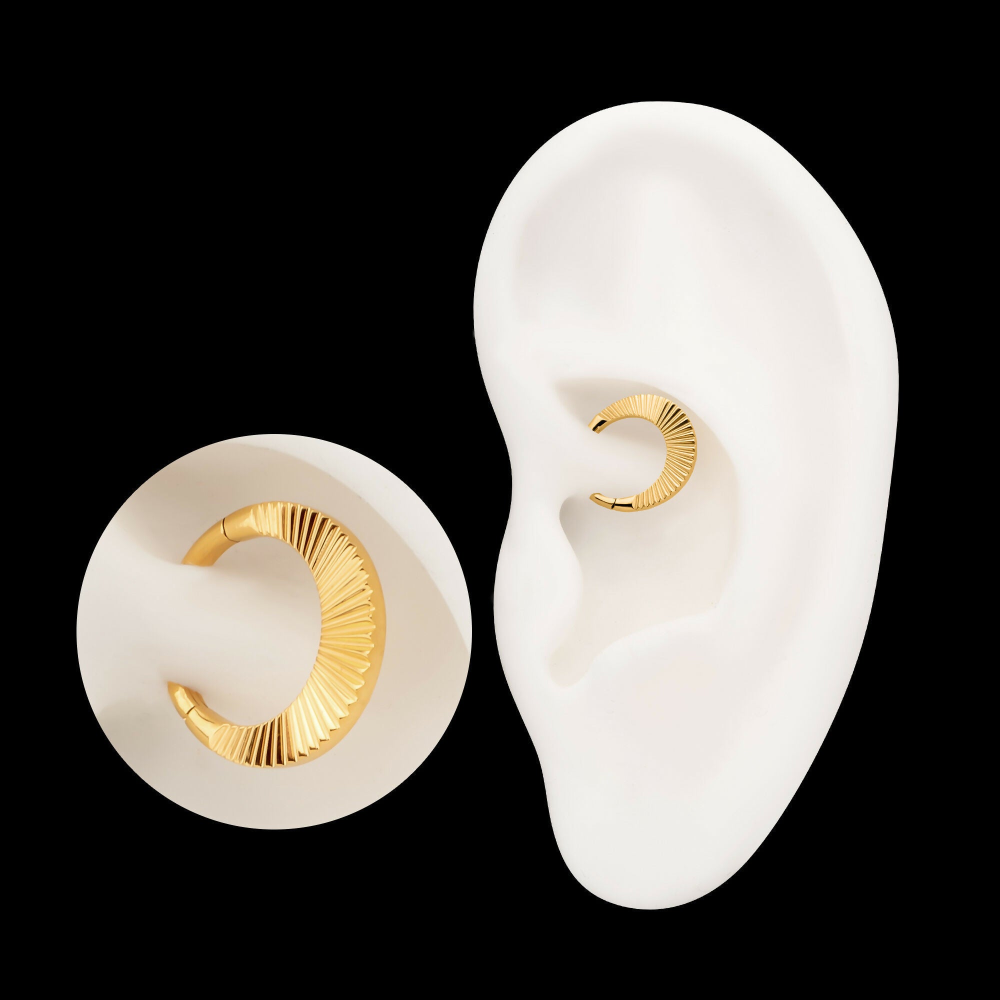 24Kt Gold PVD Titanium Radiant Wide Hoop Front Facing Hinged Segment Clicker Earring / Nosering
