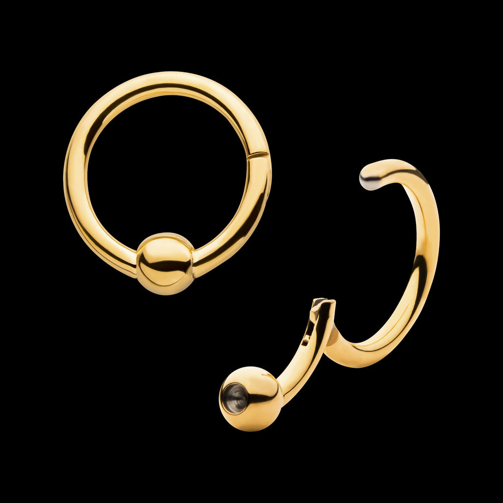 24KT Gold PVD Titanium Ball Hinged Segment Ring Earring / Nosering